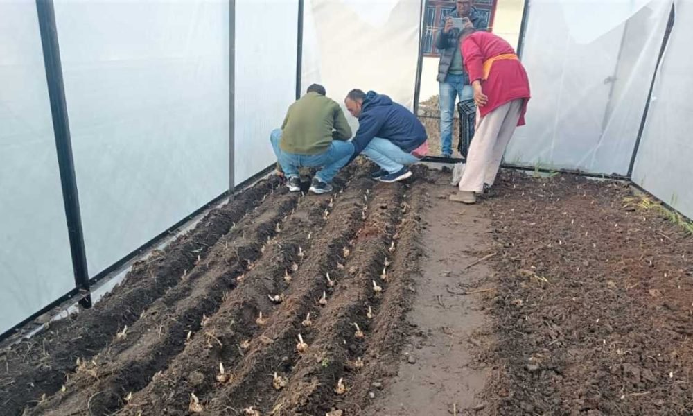 किसानों की अनुकूलन को मदद कम, सब्सिडी ज़्यादा